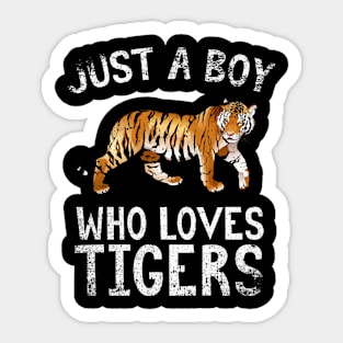 Just A Boy Who Loves Tigers Sticker